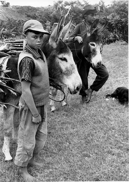 Two donkey keepers, photographed in 1968